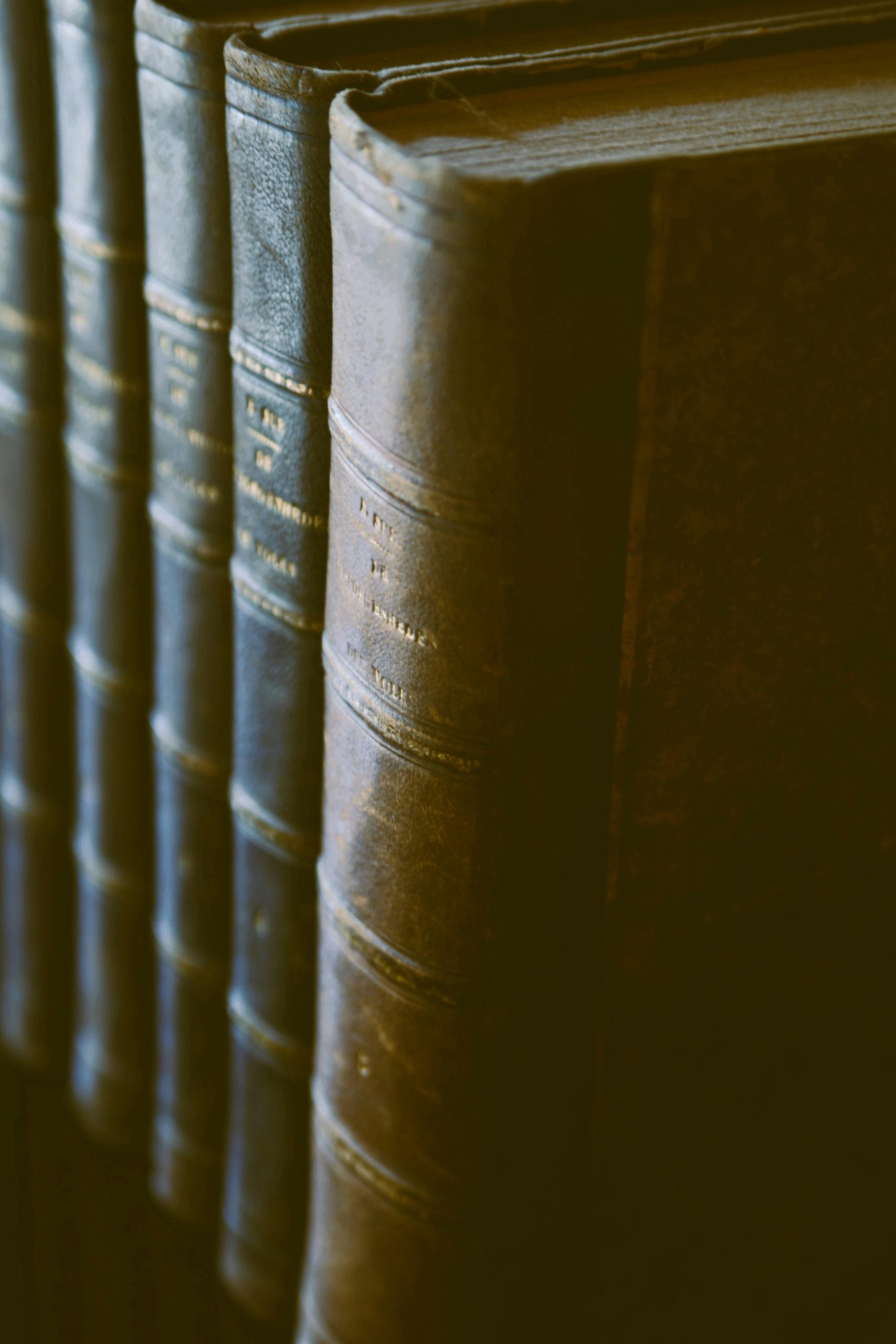 pexels budget bizar 92378004 13249024